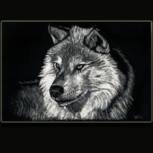 wolf,
                  scratchboard, drawing, Underwood