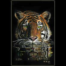 tiger, reflection, scratchboard, Underwood